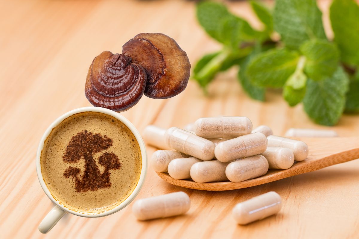 The Best Mushroom Supplements For Your Health And Why Healthy Avid