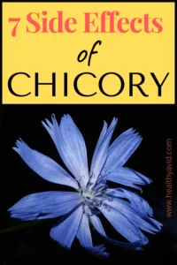 7 Danderous Side effects of chicory PINTEREST