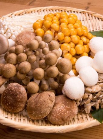 Benefits of mushroom supplements-Antioxidant properties of mushrooms represented by various colorful mushrooms