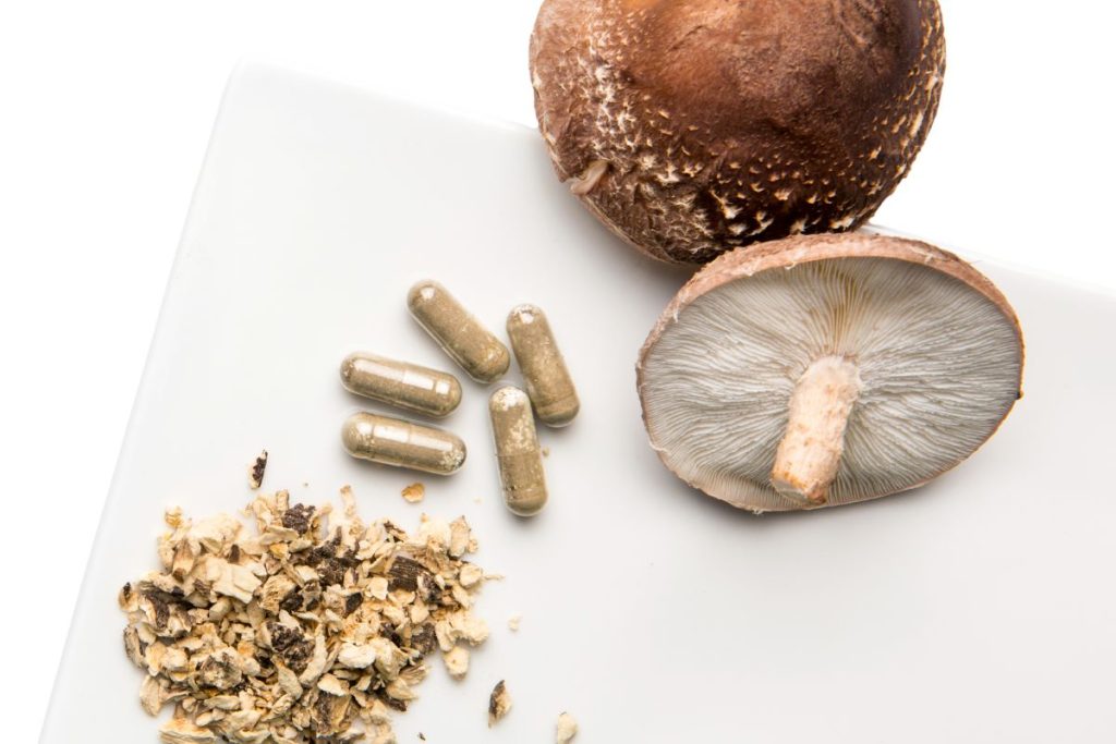 The Best Mushroom Supplements for Your Health (and why) - Healthy Avid